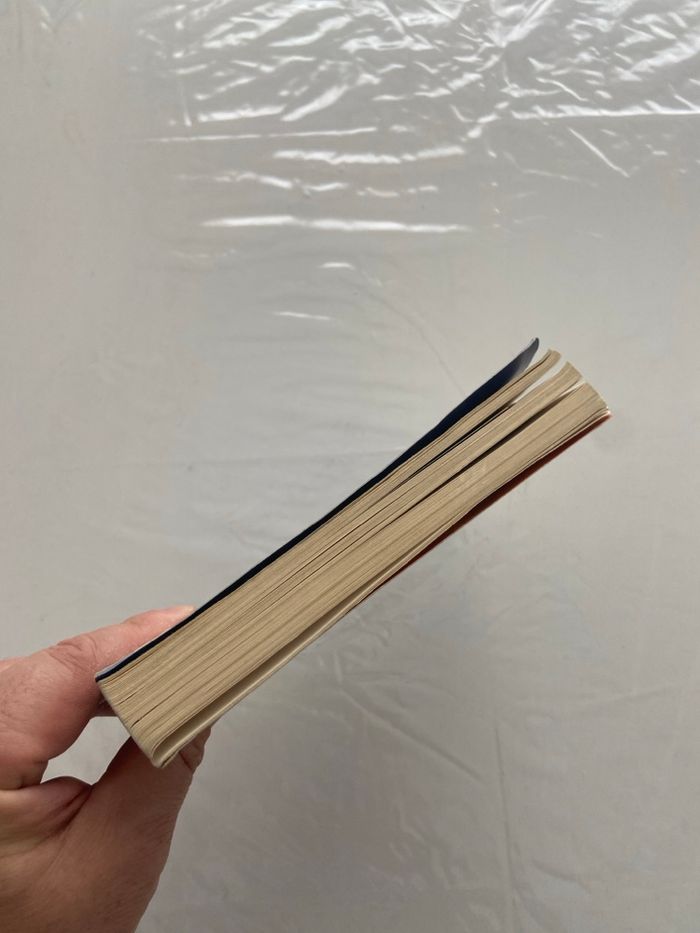 Harry Potter – Tome 2 : La Chambre des Secrets - photo numéro 7