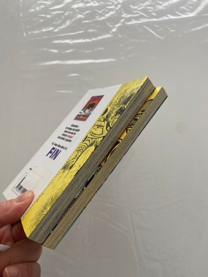 Lot 2 Mangas Les Chevaliers du Zodiaque - photo numéro 4