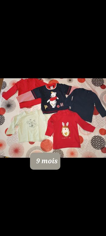 Lot 5 t-shirts manches longues 👦 taille 9 mois