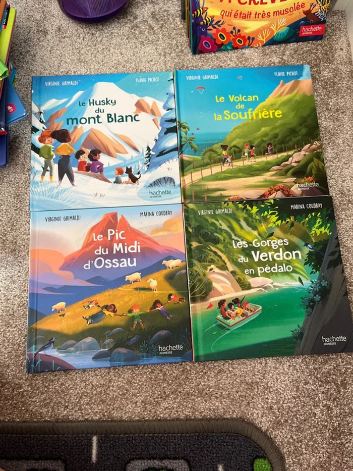 Lot livres merveilles de France - photo numéro 2