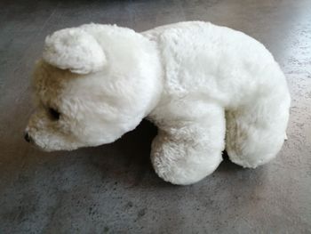nounours blanc