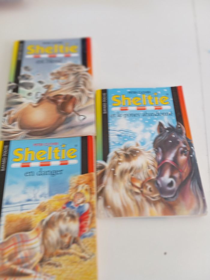 Livre sheltie - photo numéro 3