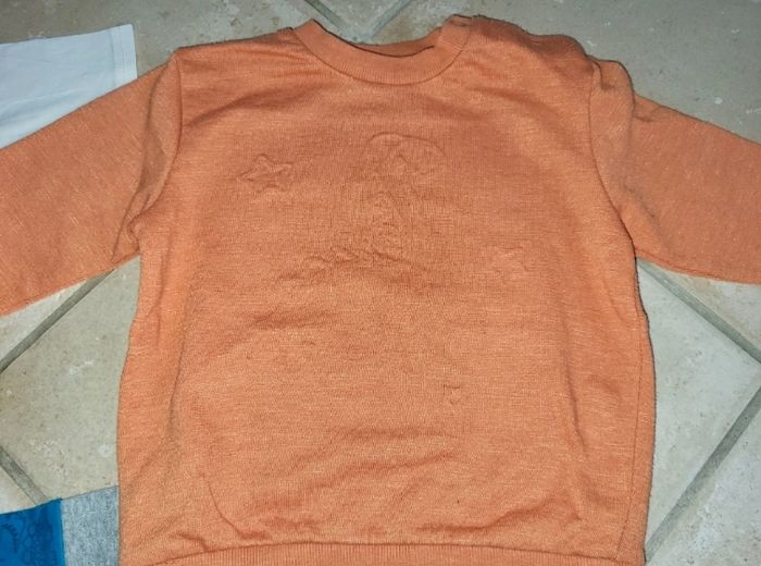 Lot 4 tee-shirt garçons dinosaure 18 mois - photo numéro 3