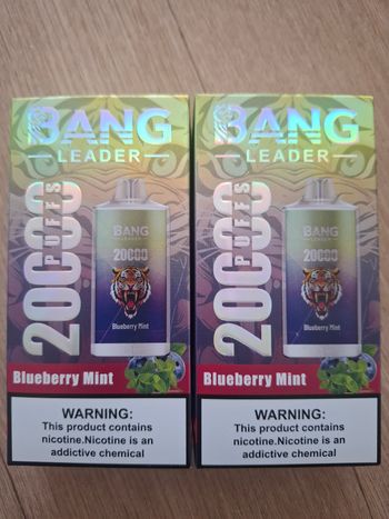 Vape 20 000 menthe myrtille