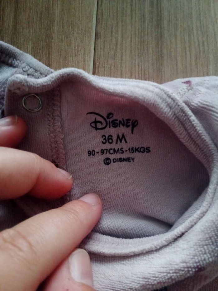 Grenouillère disney - photo numéro 3