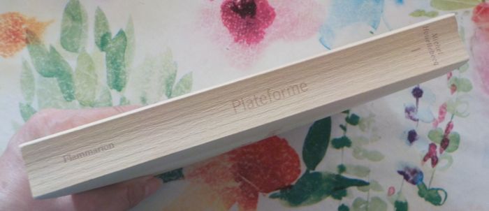 PLATEFORME de Michel HOUELLEBECK Ed. Flammarion - photo numéro 4