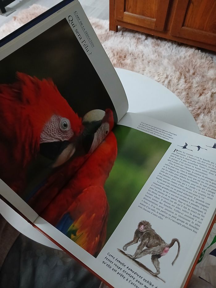 Livre animaux - photo numéro 3