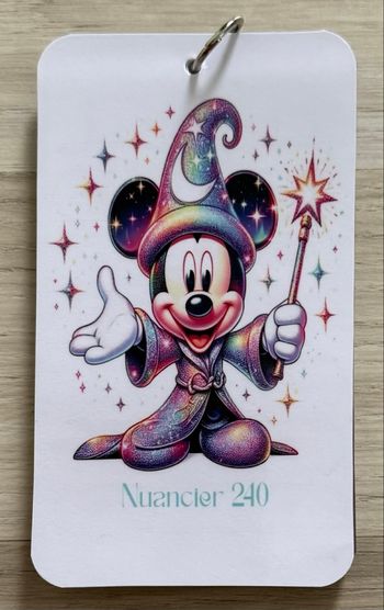 Nuancier Mickey languo 240