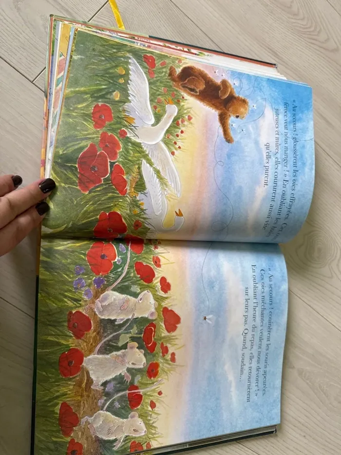 Grand livre enfant ours - photo numéro 4