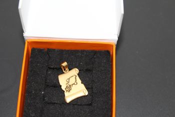 Pendentif plaqué or verseau