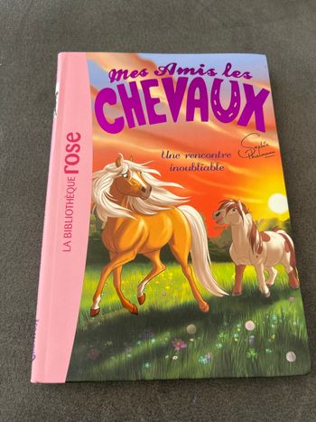 Livre bibliothèque rose mes amis les chevaux tome 6