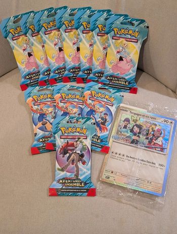 Lot Pokémon de 11 Boosters Aventures Ensemble EV09 Fr