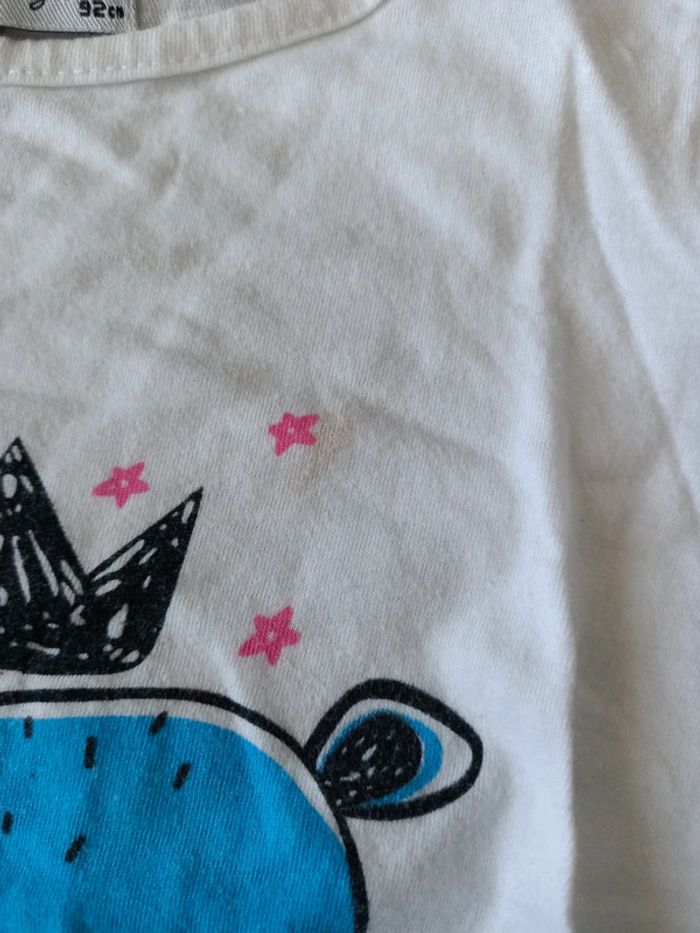 Lot tee shirts manches longues, 24 mois - photo numéro 9
