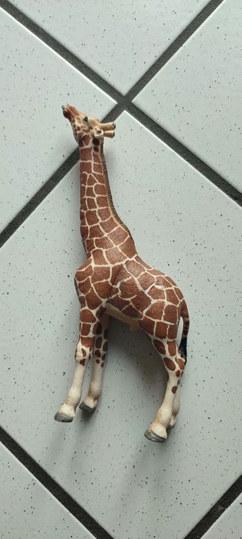Girafe Schleich 17 cm