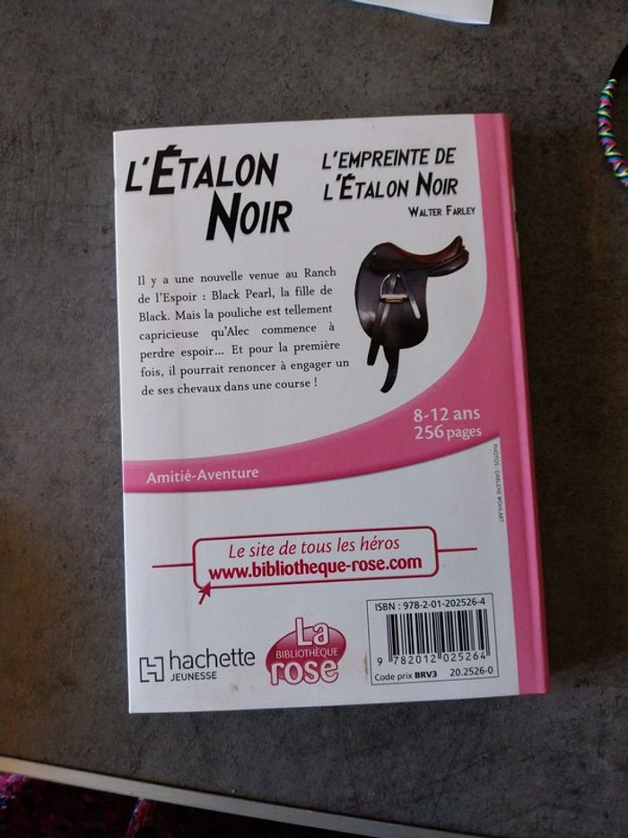 L'empreinte de L'étalon noir - photo numéro 2
