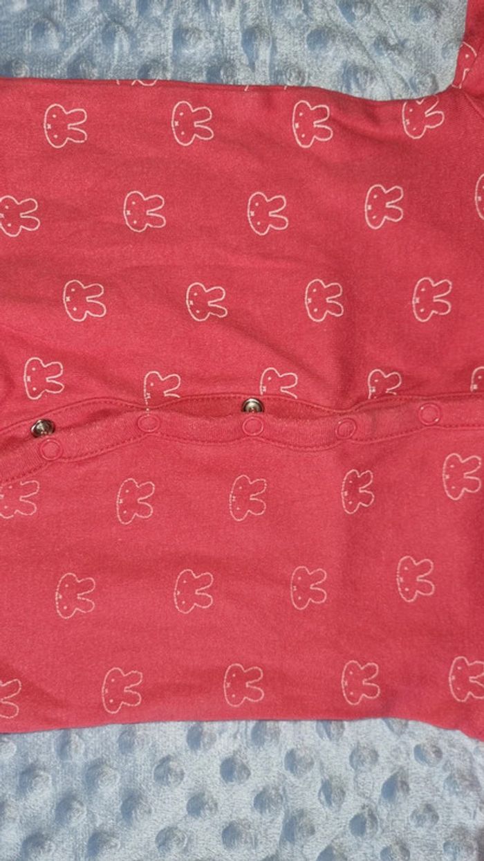 Pyjama 1 mois 50 cm en bon état - photo numéro 4