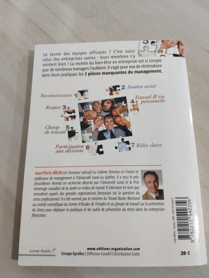 Livre management équipe 7 leviers améliorer bien être efficacité professionnelle Brun - photo numéro 13