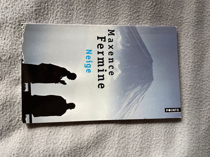 Lot livres ados - photo numéro 8