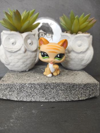 My Littlest Petshop LPS Pet Shop chat Chartreux 842 cat  #geektradelpschat