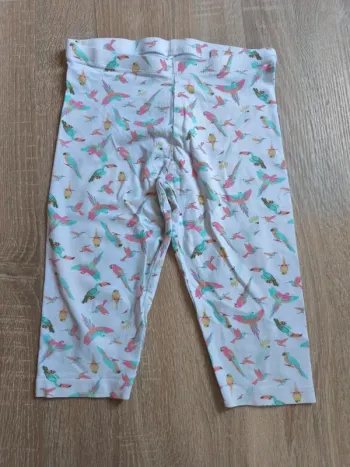 Corsaire perroquet - 4-6 ans