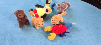 collection de petites peluches de la jungle et autres