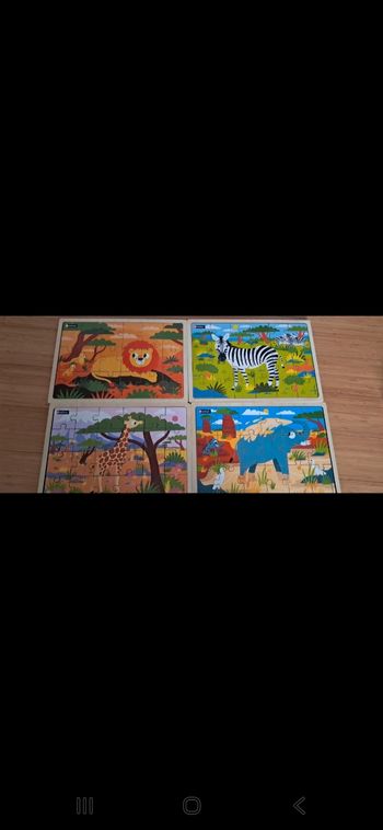 Lot de 4 puzzles
