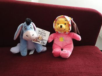 Lot peluche Winnie et Bourriquet