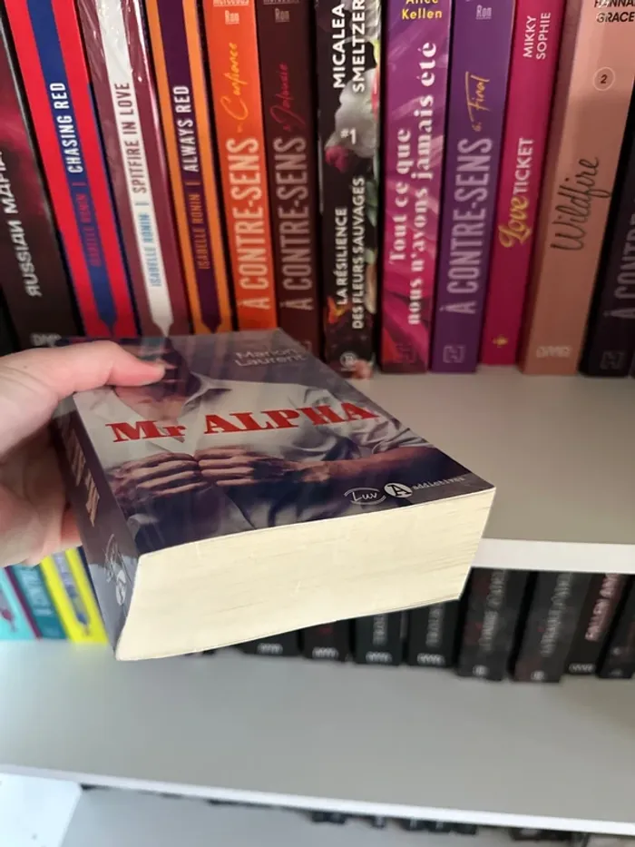 Mr alpha - photo numéro 6