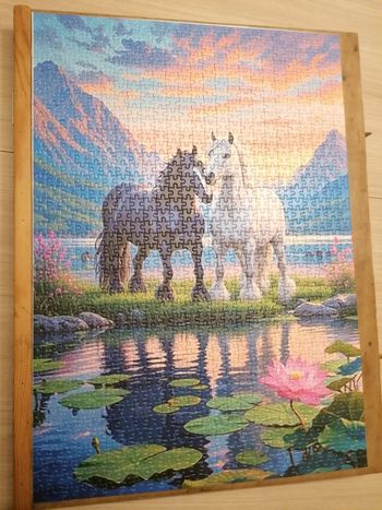 Puzzle 1000 pieces 