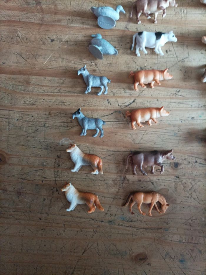 Animaux de la ferme - photo numéro 4