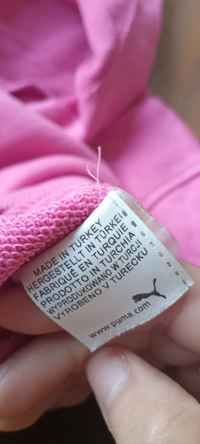 Pull puma - photo numéro 6