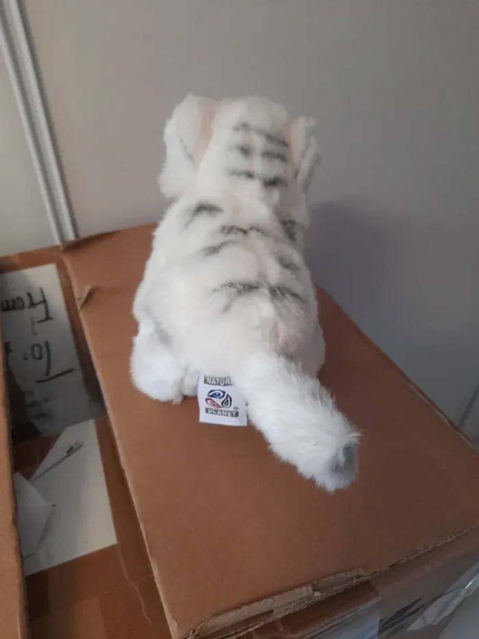 Peluche - photo numéro 2