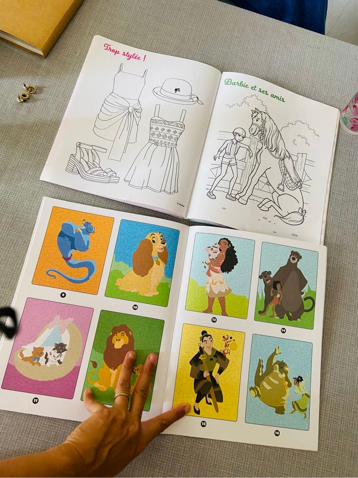 Lot livres coloriages - photo numéro 4