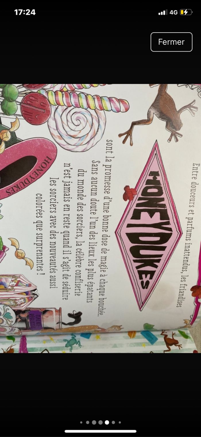 Livre à gratter et sentir Harry Potter honeydukes - photo numéro 6