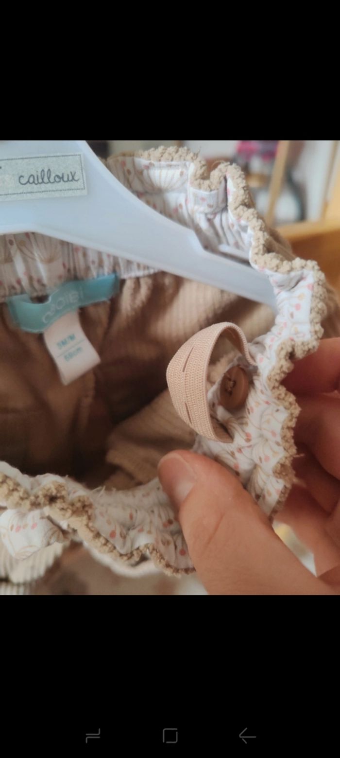 Short velours - photo numéro 3