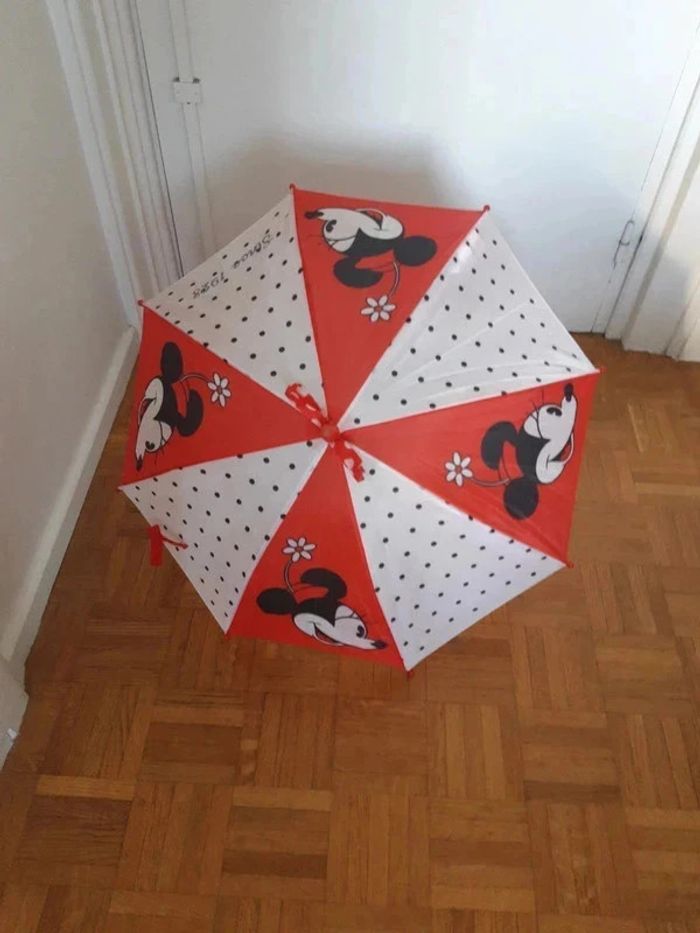 Parapluie Minnie orchestra since 1928 - photo numéro 6