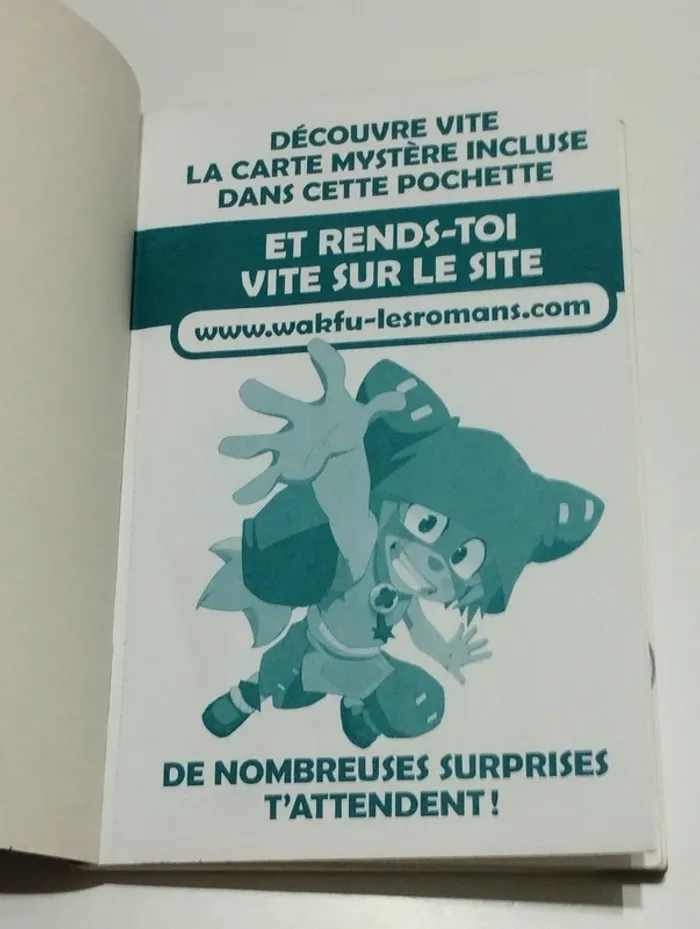 Wakfu : 1- L'attaque surprise avec la carte mystère incluse toujours caché - photo numéro 4
