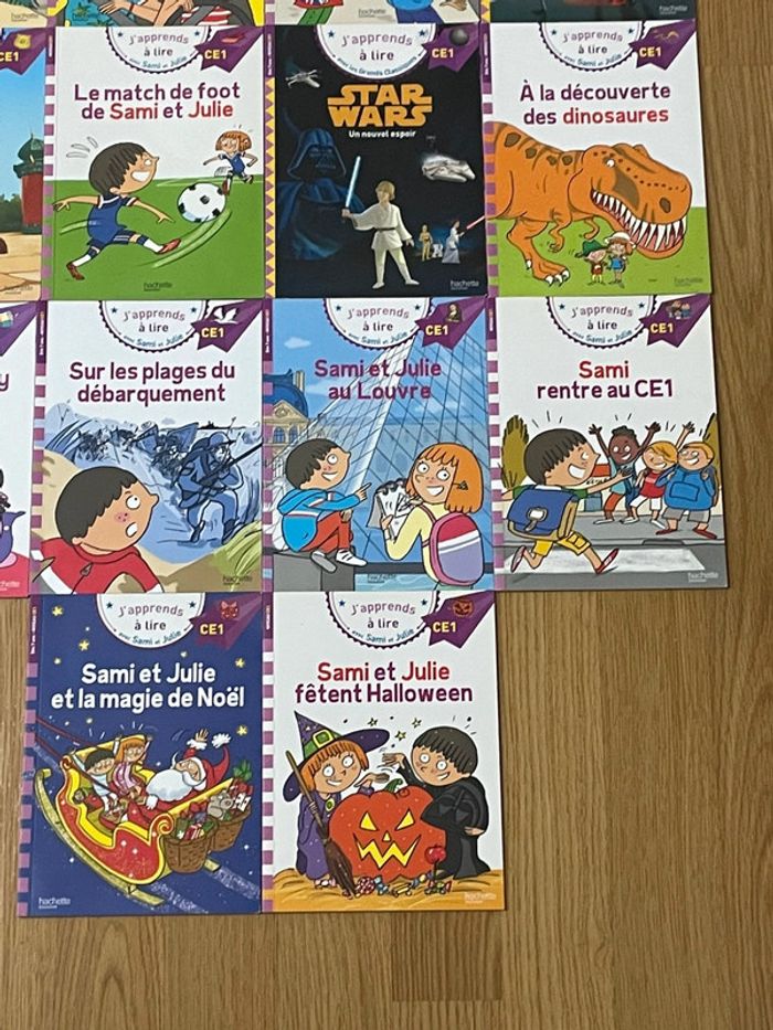 14 livres de Sami et Julie CE1 - photo numéro 4