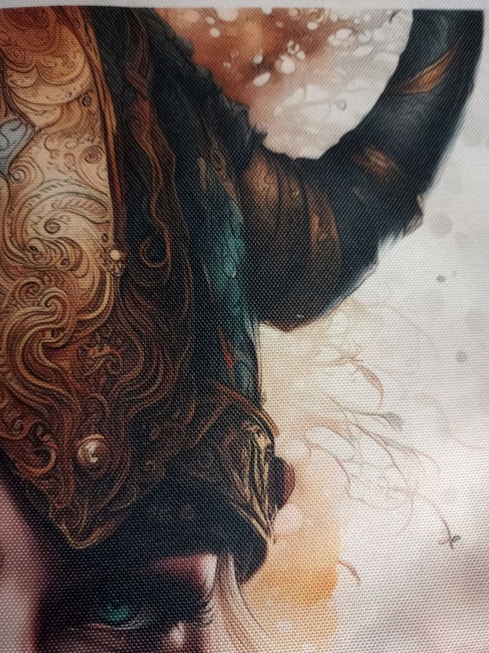 Toile la guerrière viking - photo numéro 9