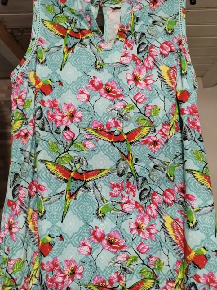 Robe perroquet - photo numéro 3