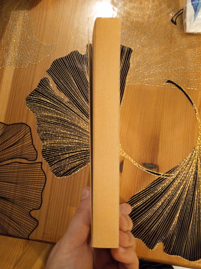 Livre (172) 📚 Equatoria - photo numéro 4