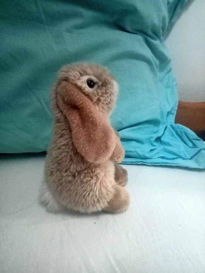 Lapin en peluche - photo numéro 2