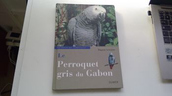 Perroquet de Gabon (Dagmar Schratter