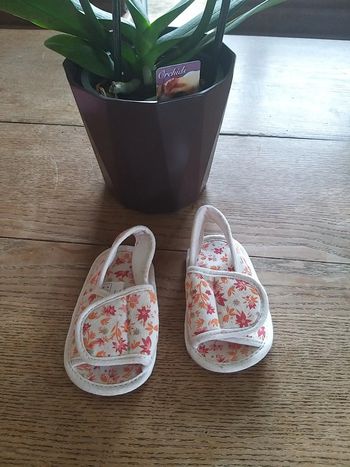 Chaussure Taille 6-12 mois