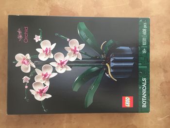 Neuf - Lego Creator - 10311 - L’orchidée