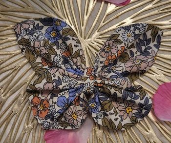 Barettes papillon