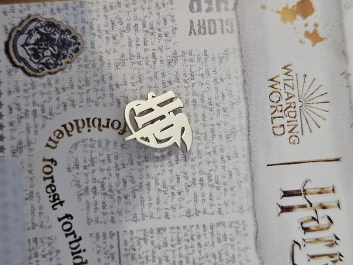Paire Boucle d'oreille Harry potter Argent - photo numéro 2