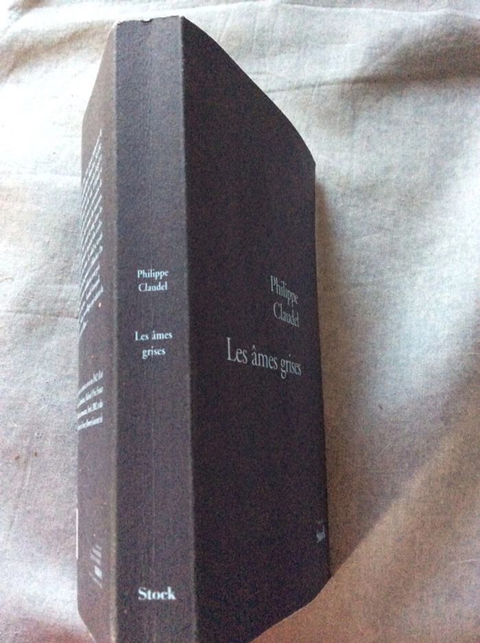 #les âmes grises Philippe Claudel - photo numéro 4
