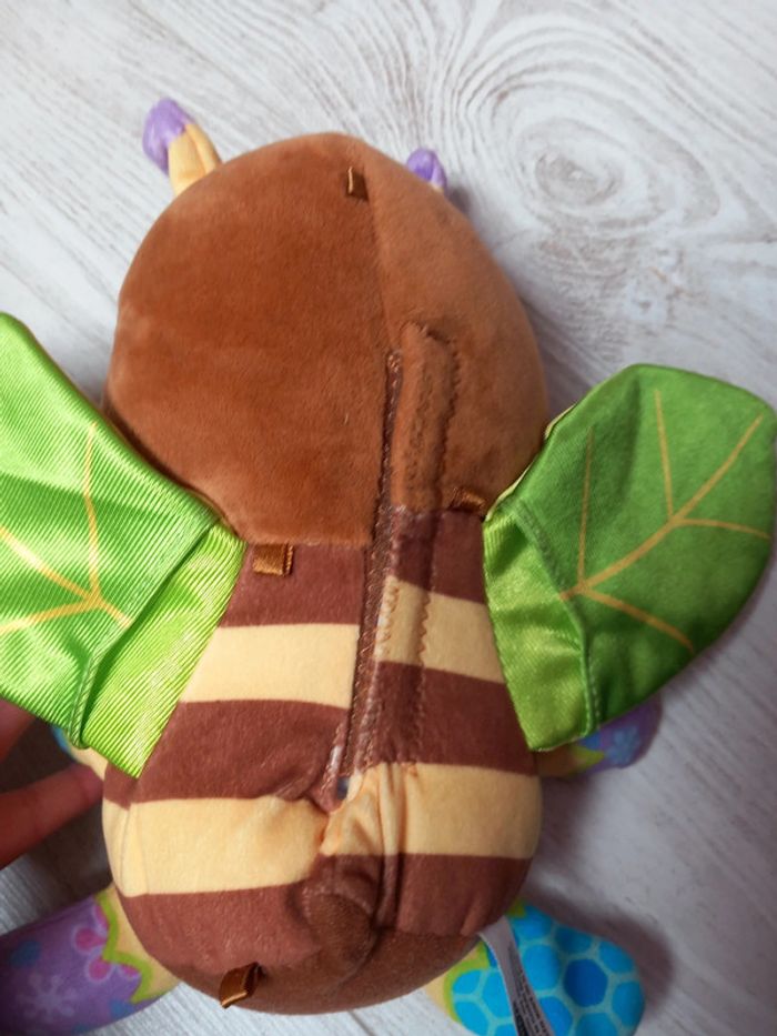 Abeille musical - photo numéro 4