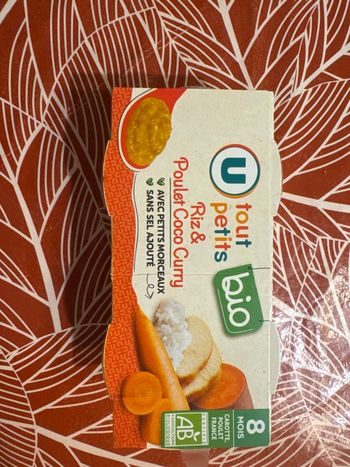 Petit pot riz et poulet coco curry 8 mois 